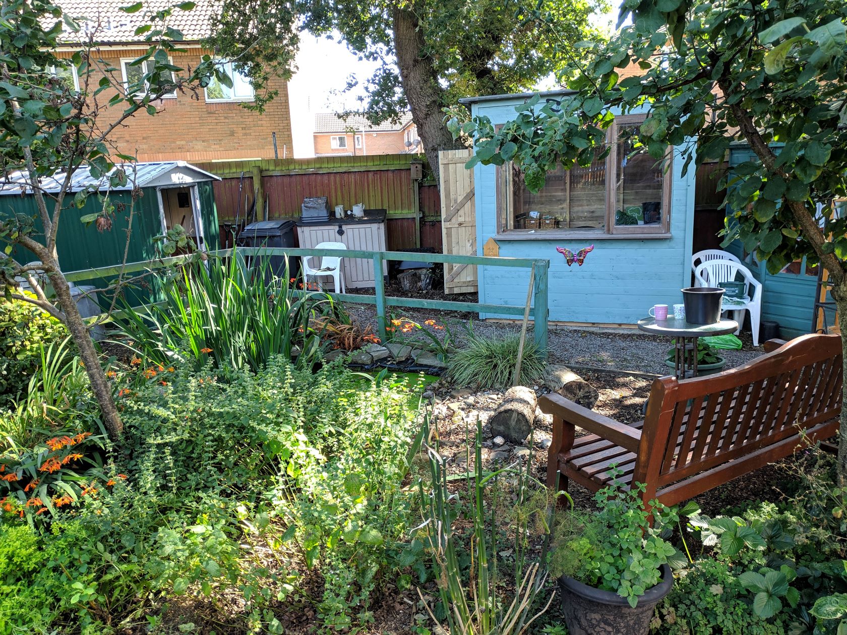 A verdant community garden with some sheds and shaded seating